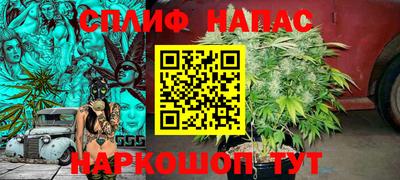 сатива Жуковский