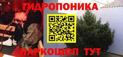 сатива Жуковский