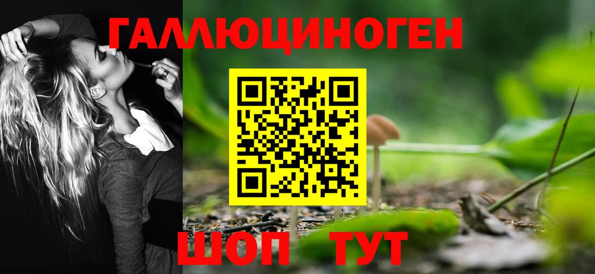 Люберцы  Галлюциногенные грибы Psilocybine cubensis  Вход с VPN 